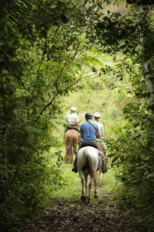 The At Chaacreek San Ignacio