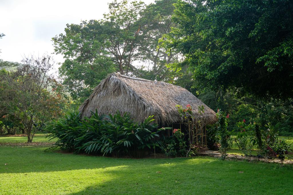 Bocawina Rainforest 4*