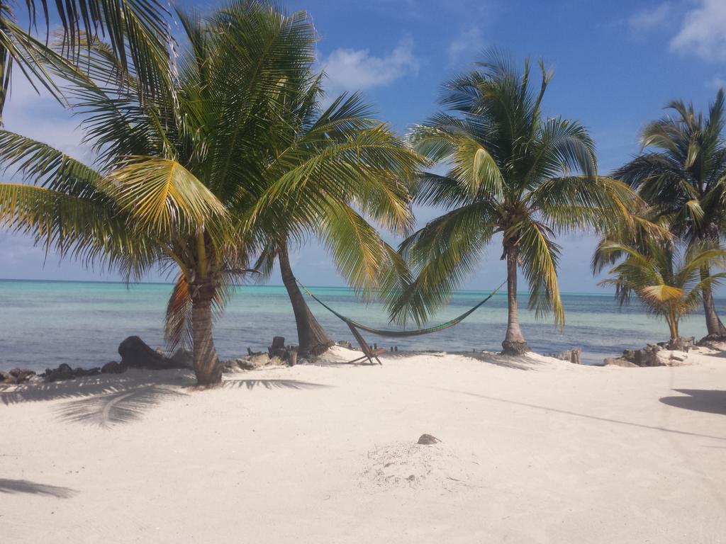 Palmento Grove Garifuna Eco-cultural & Healing Institute 2* Hopkins