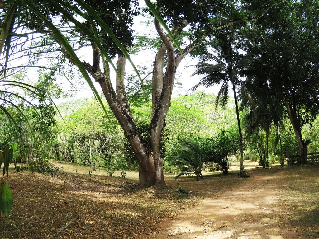 Crystal Paradise Resort San Ignacio