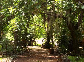 Mayan Secret Boutique Subteniente Lopez