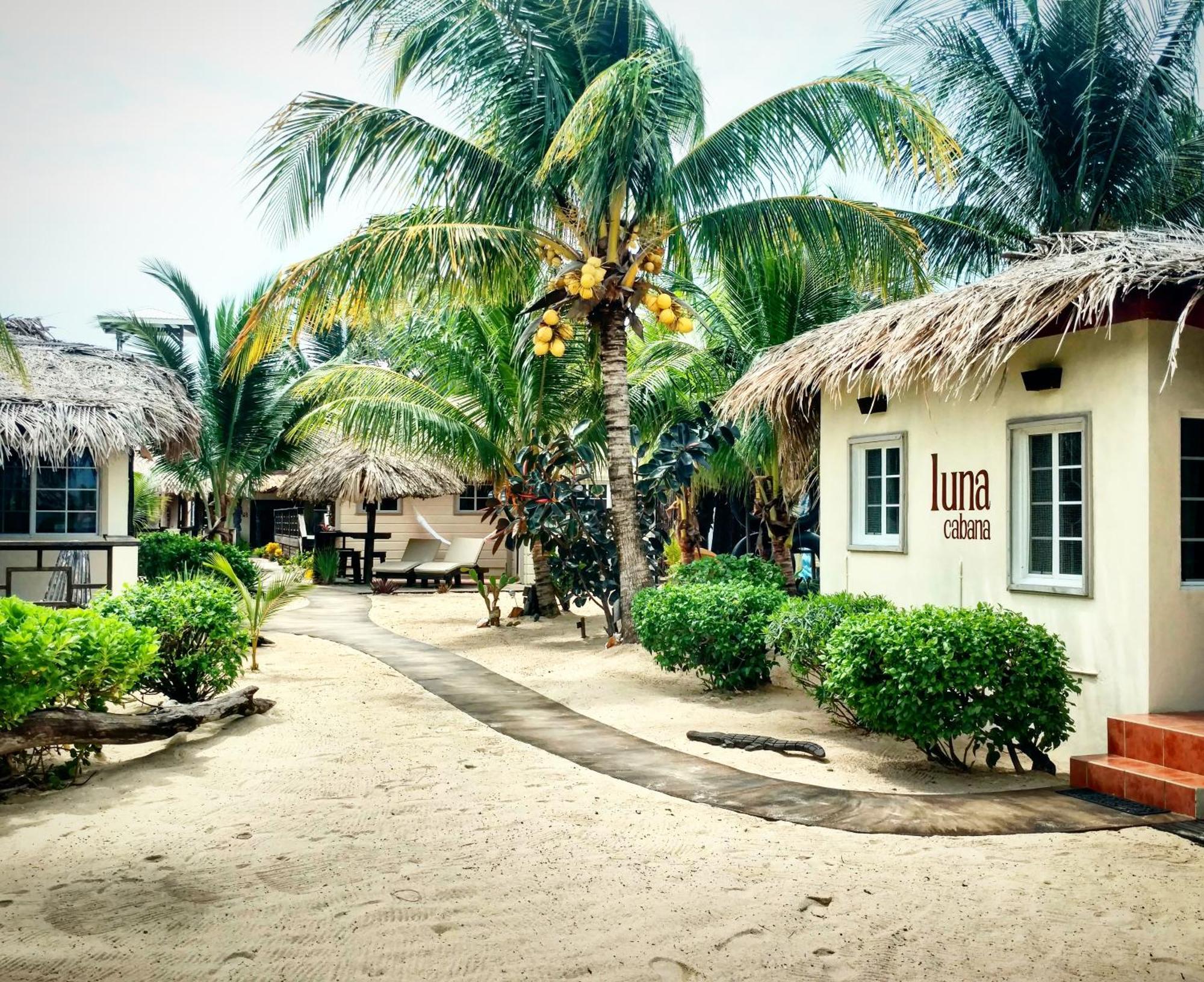 Caribbean *