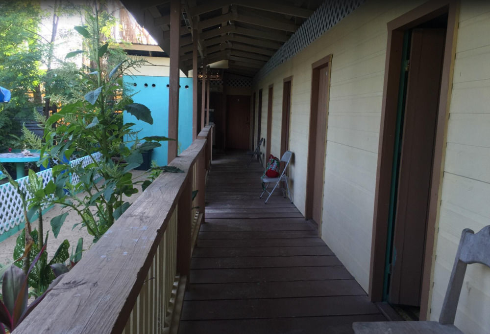 Chaleanor Hotel Dangriga