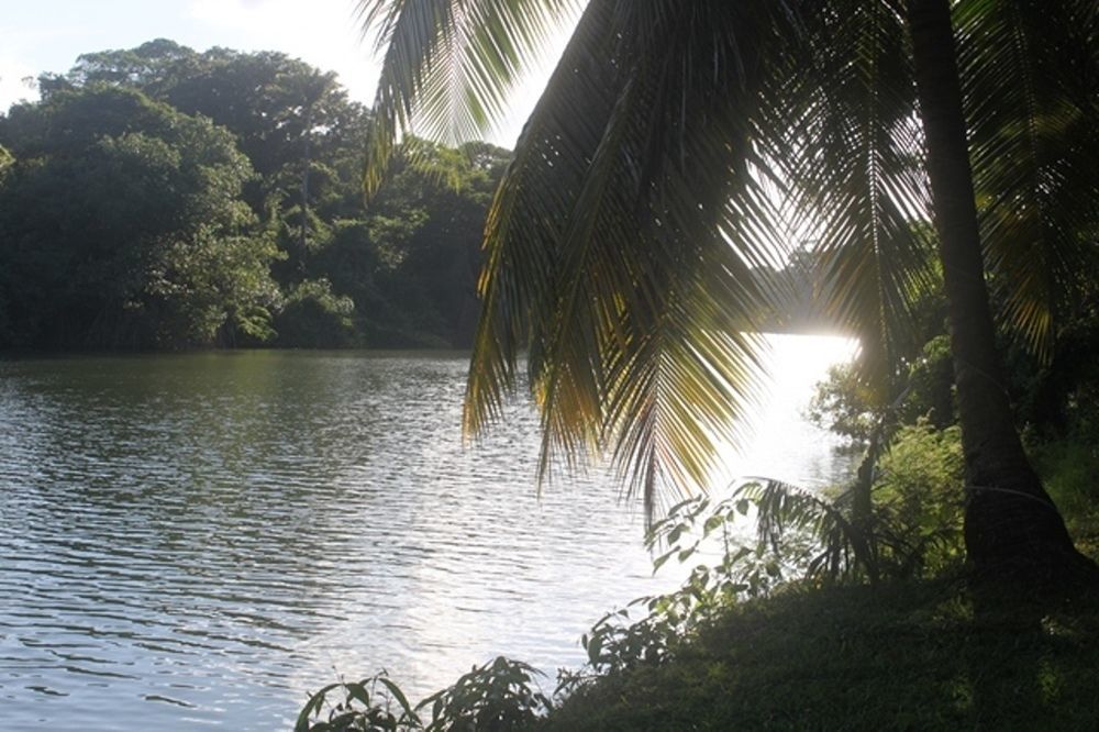 River House Hotel