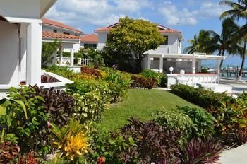 Ambergris House *