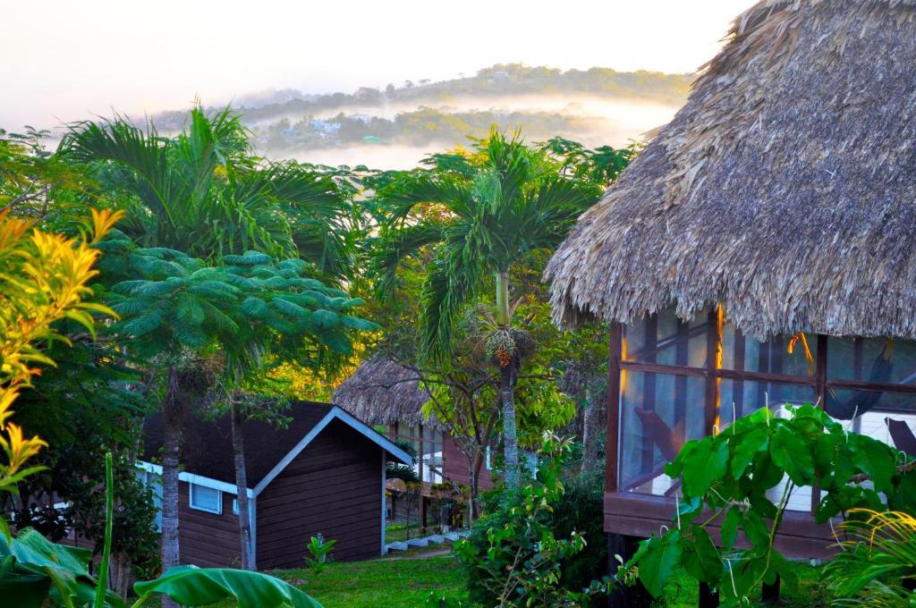 Cahal Pech Village San Ignacio