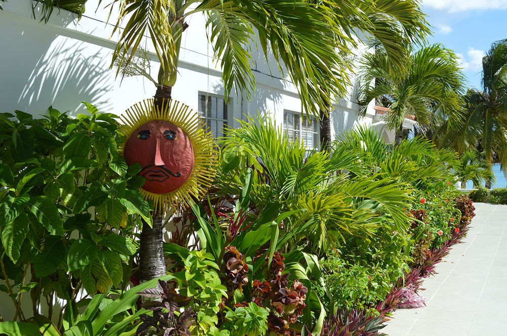 Ambergris House *