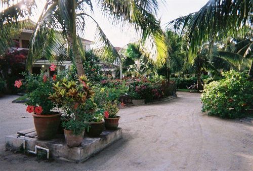 Tradewinds Paradise Hotel 3*
