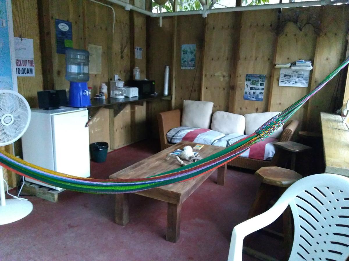 Hostel Placencia Hostel Placencia