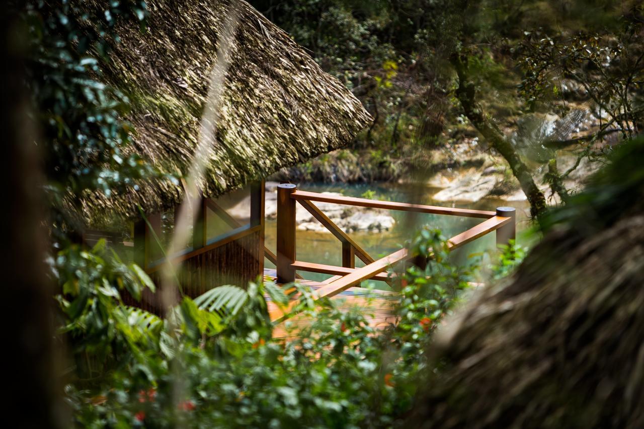 Lodge Blancaneaux By Francis Ford Coppola *