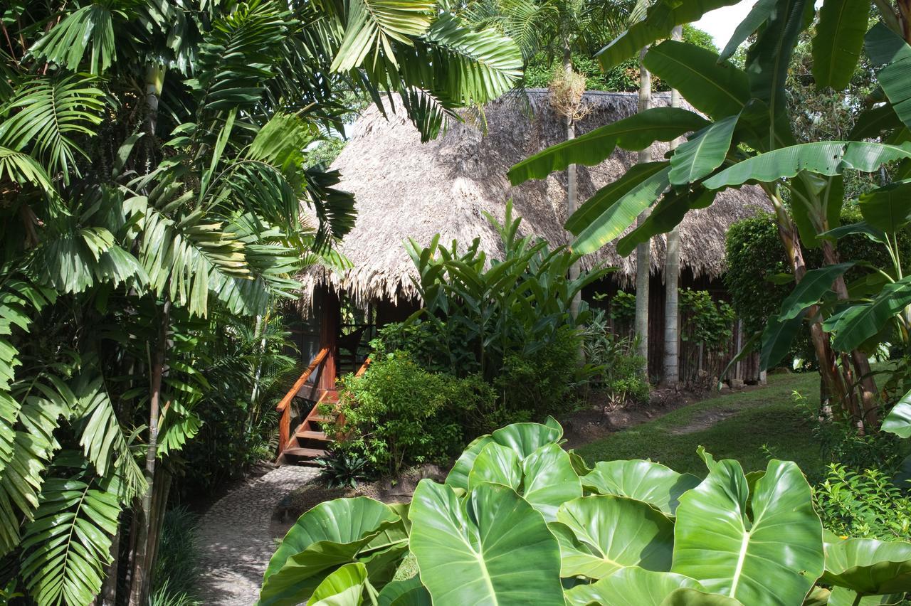Blancaneaux By Francis Ford Coppola Lodge *