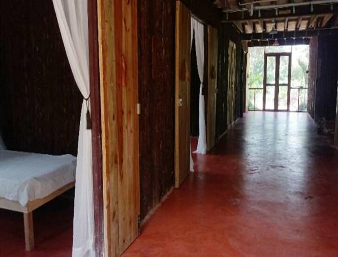 Serenity Retreats Belize - A Vegan Hotel Corozal