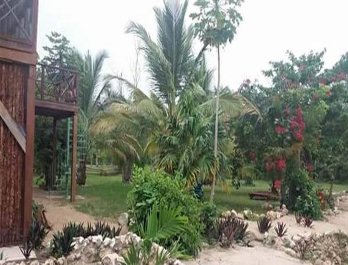 Serenity Retreats Belize - A Vegan 2*