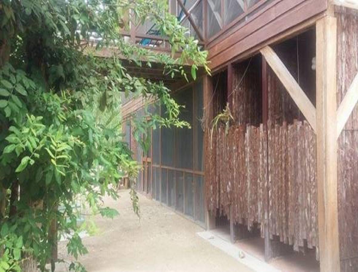 Hotel Serenity Retreats Belize - A Vegan