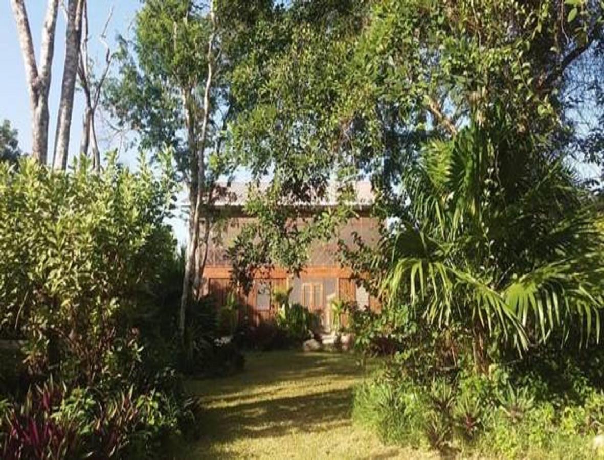 Serenity Retreats Belize - A Vegan 2* Corozal