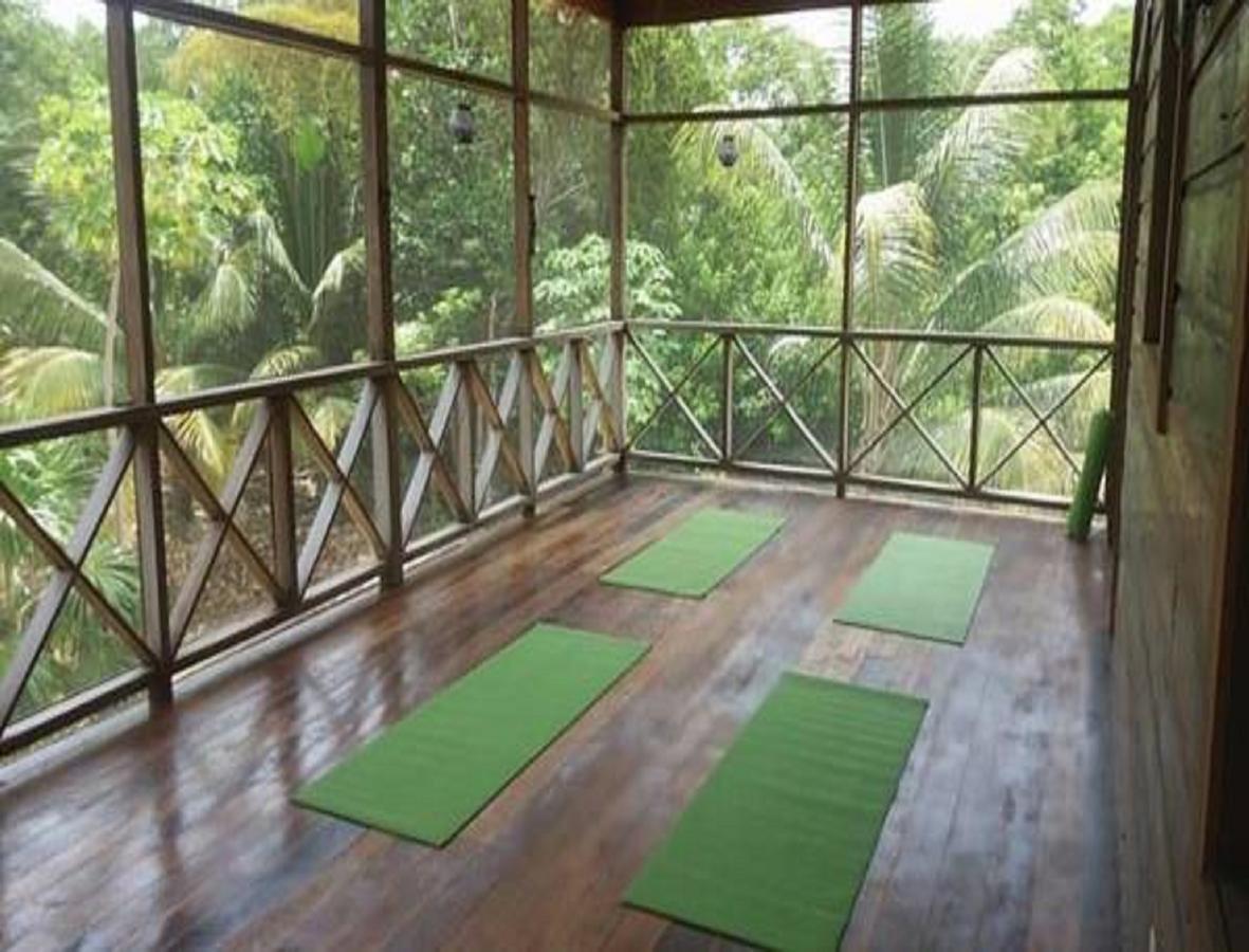 Serenity Retreats Belize - A Vegan 2*