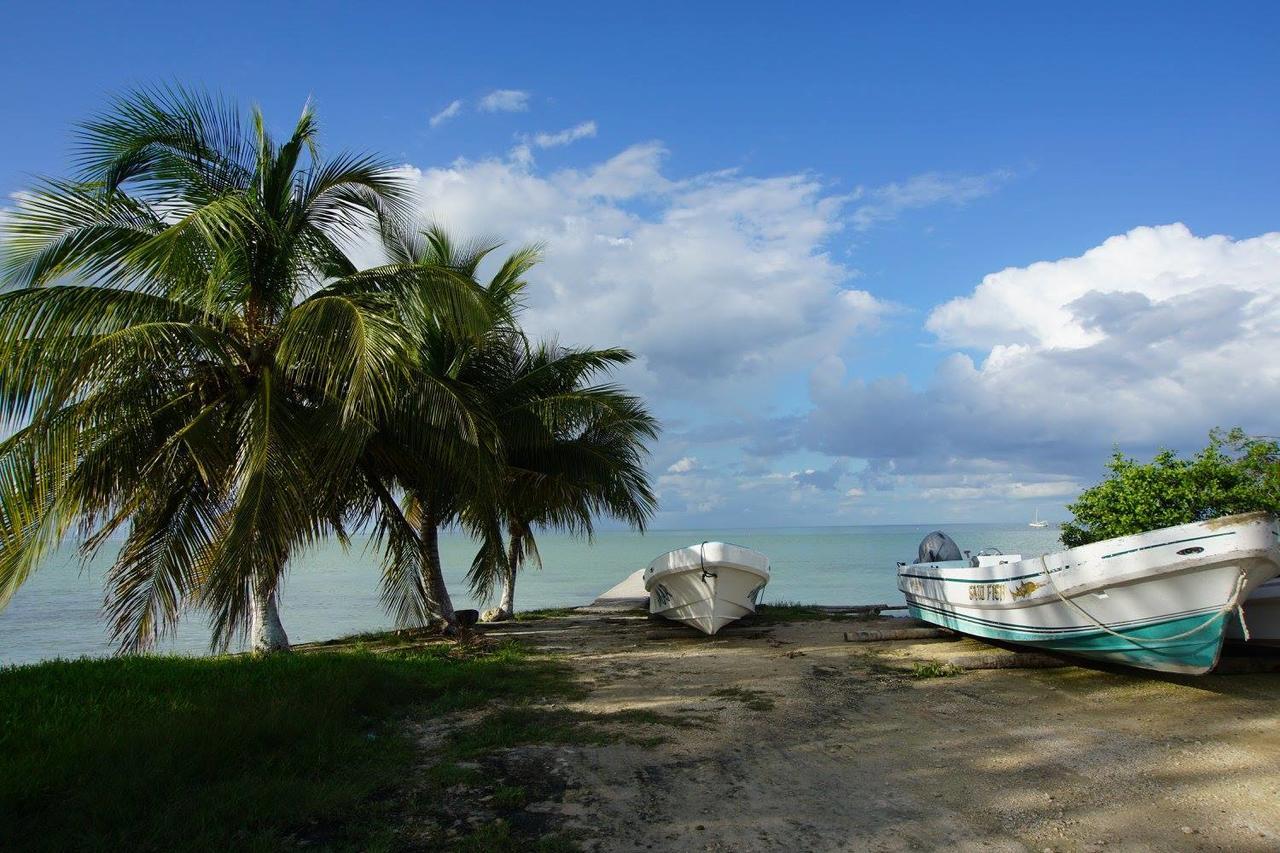 Serenity Retreats Belize - A Vegan Hotel