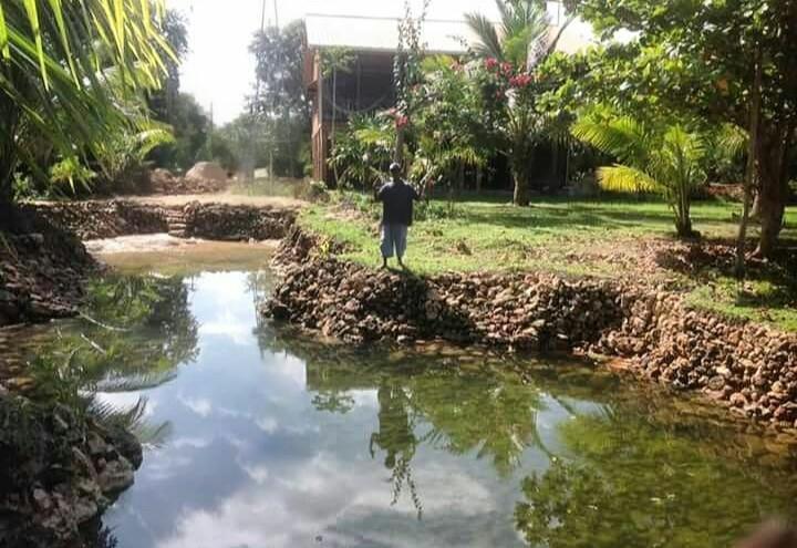 Serenity Retreats Belize - A Vegan 2*