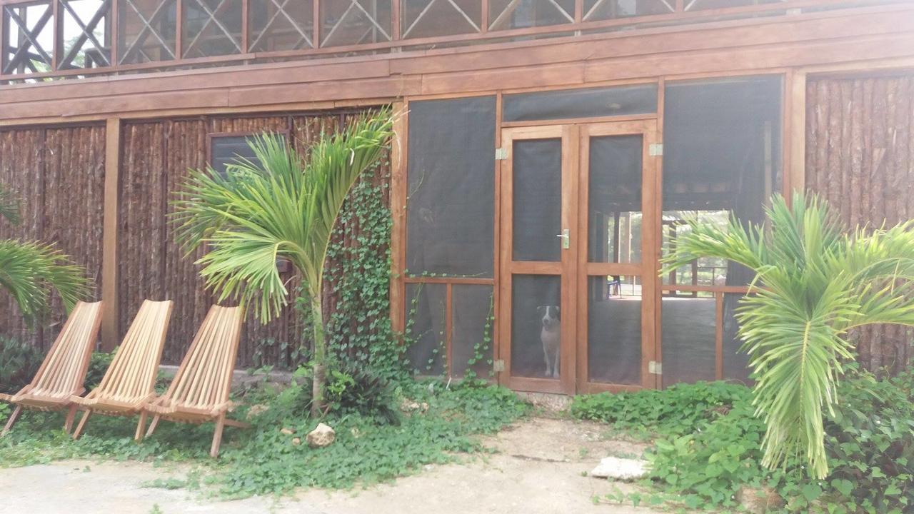 Serenity Retreats Belize - A Vegan Corozal