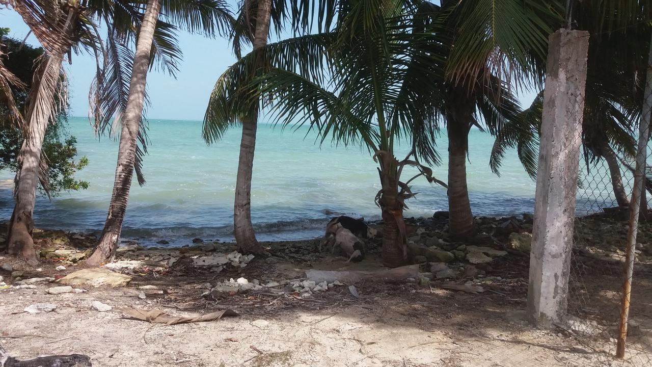 Serenity Retreats Belize - A Vegan