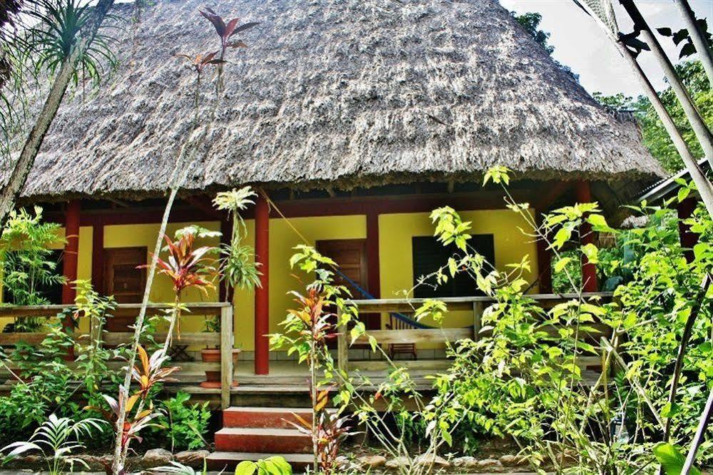 Resort Crystal Paradise 3*