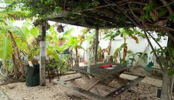 Hostel Pedro's & *