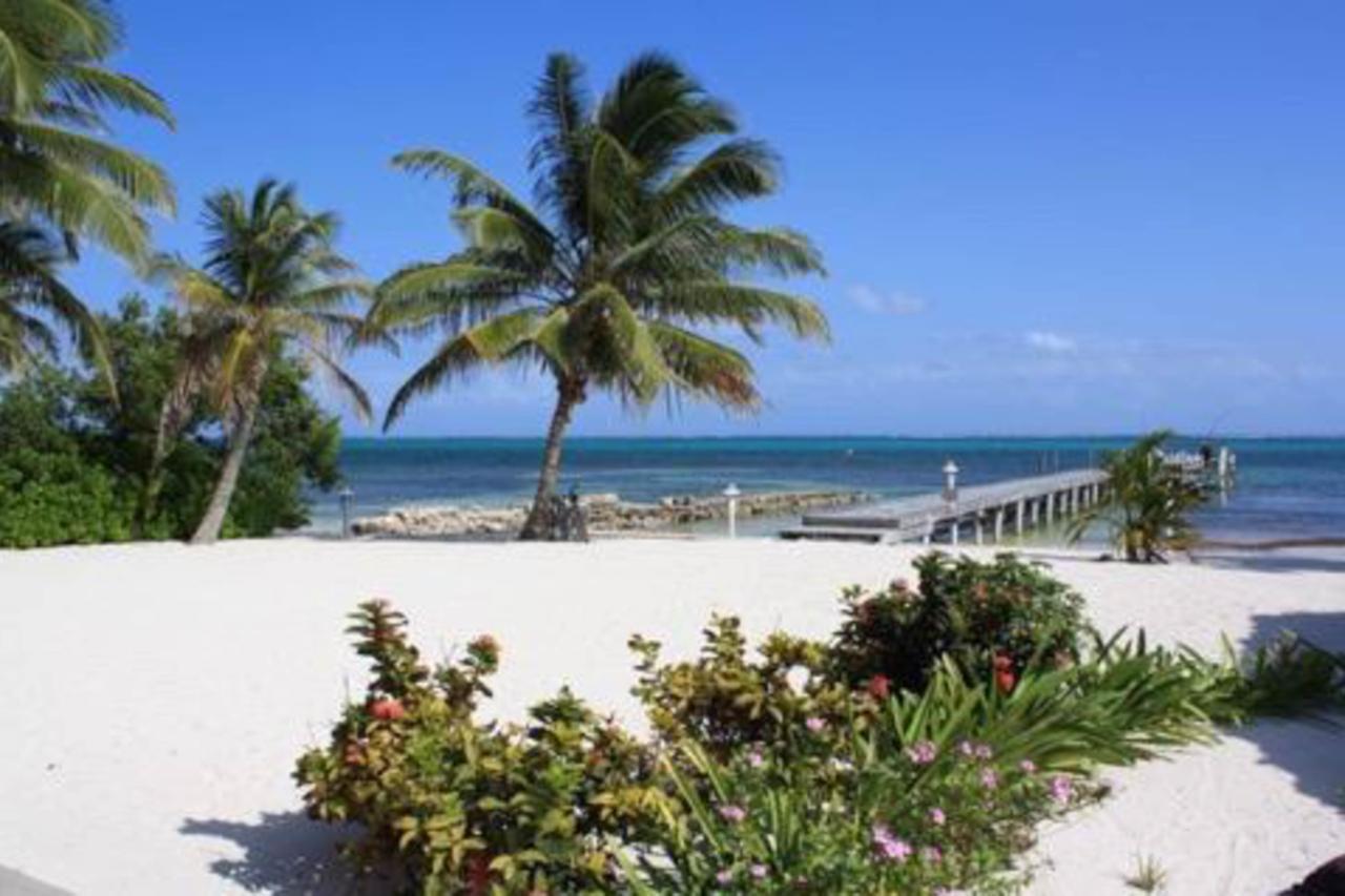 Bird Of Paradise @ Caribe Island * San Pedro (Ambergris Caye)