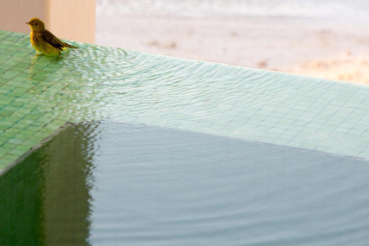 Resort Cayo Espanto