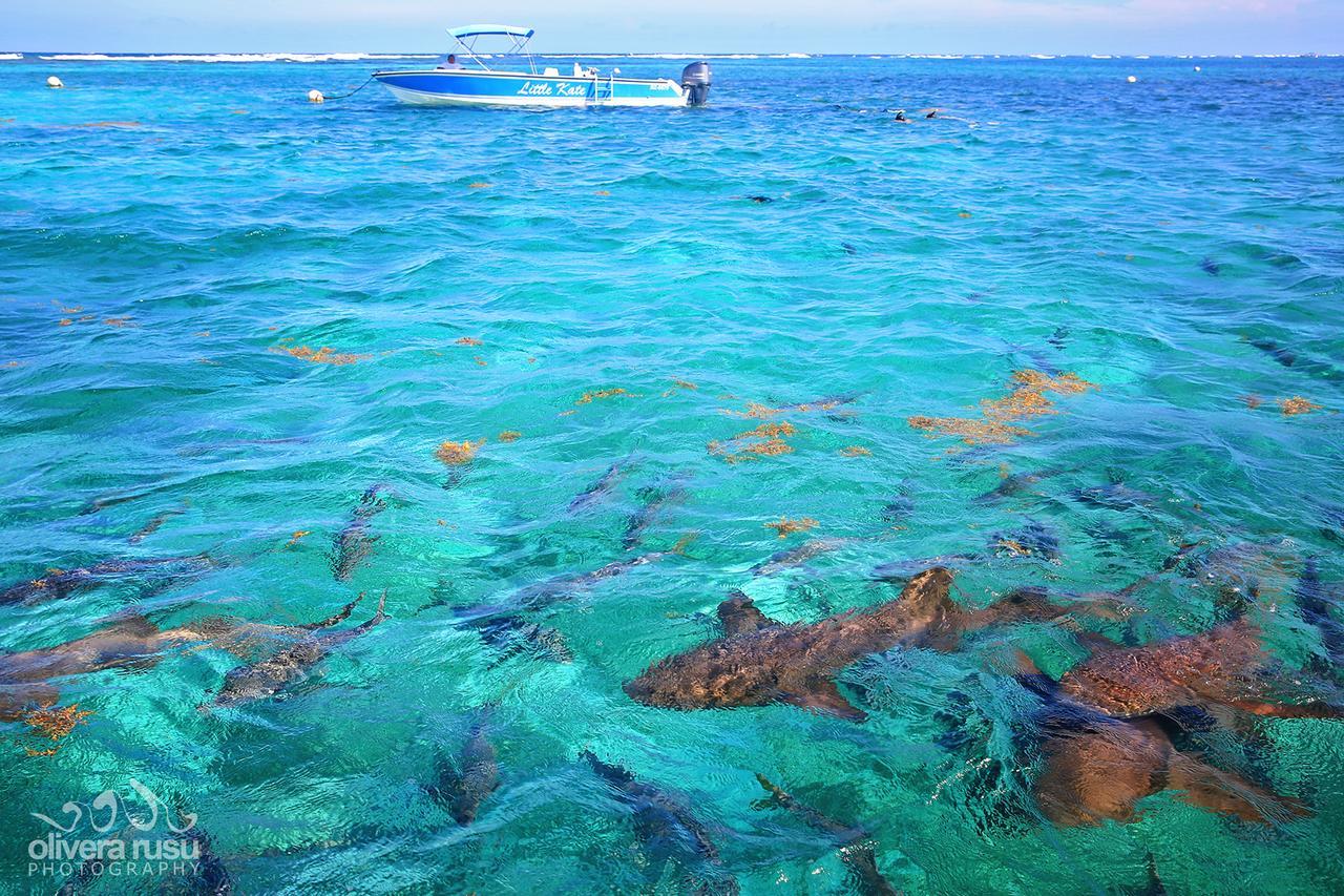 Cayo Espanto
