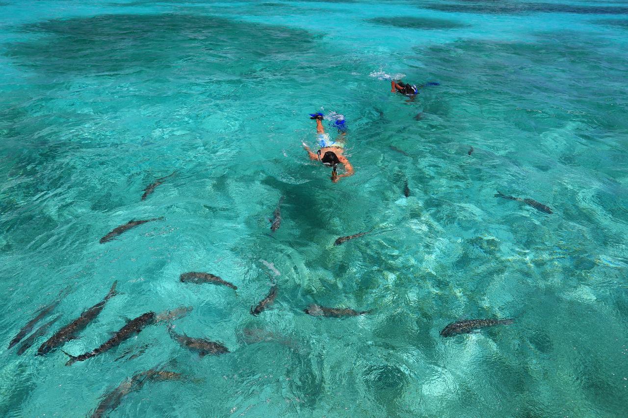 Resort Cayo Espanto San Pedro (Ambergris Caye)