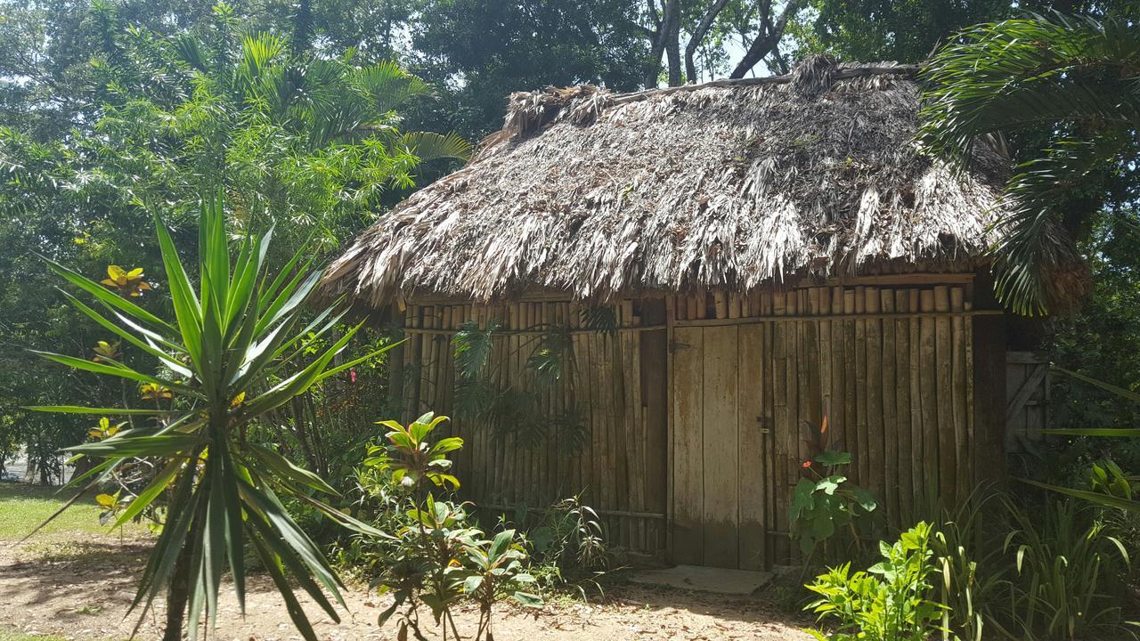 Resort Clarissa Falls San Ignacio
