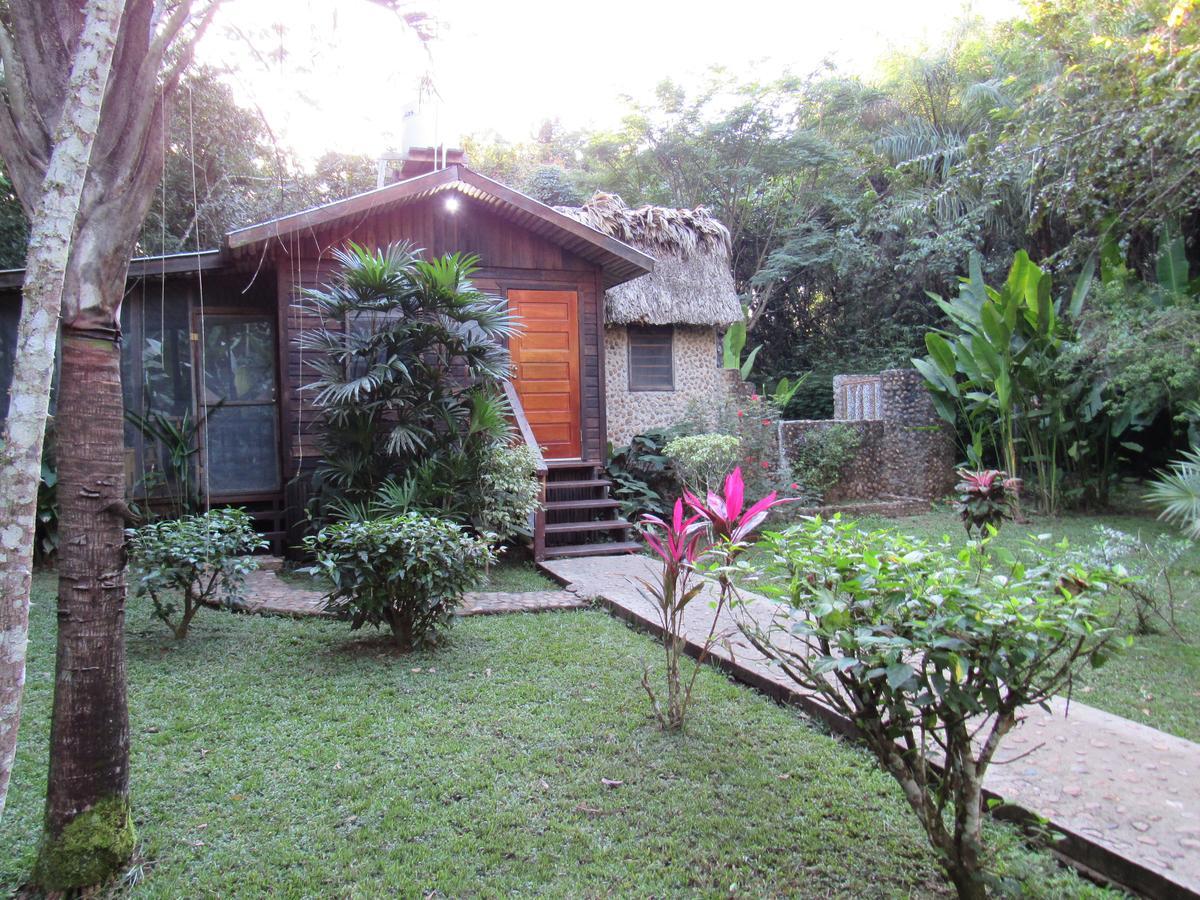 Macaw Bank Jungle San Ignacio