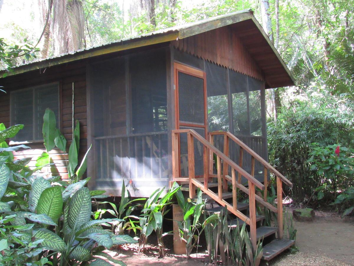 Lodge Macaw Bank Jungle
