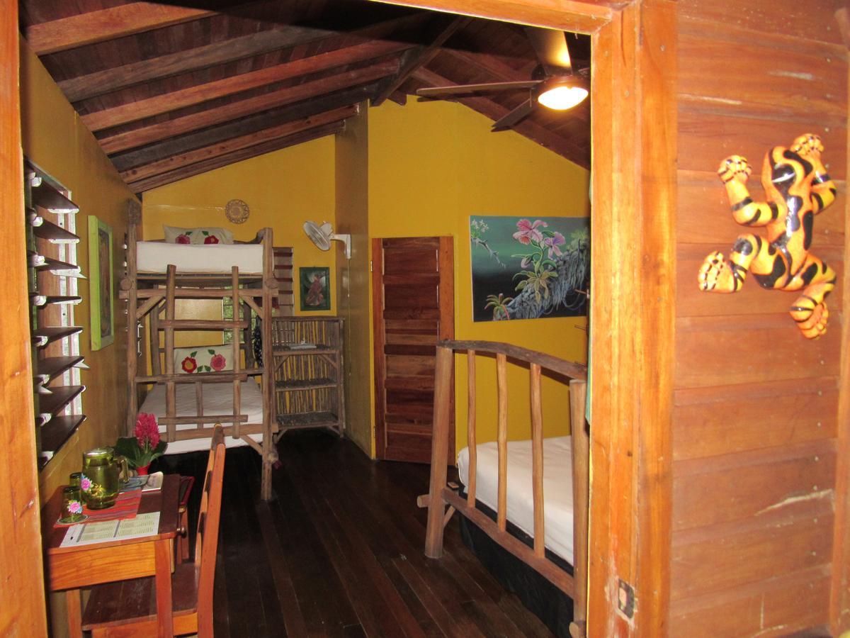 Lodge Macaw Bank Jungle
