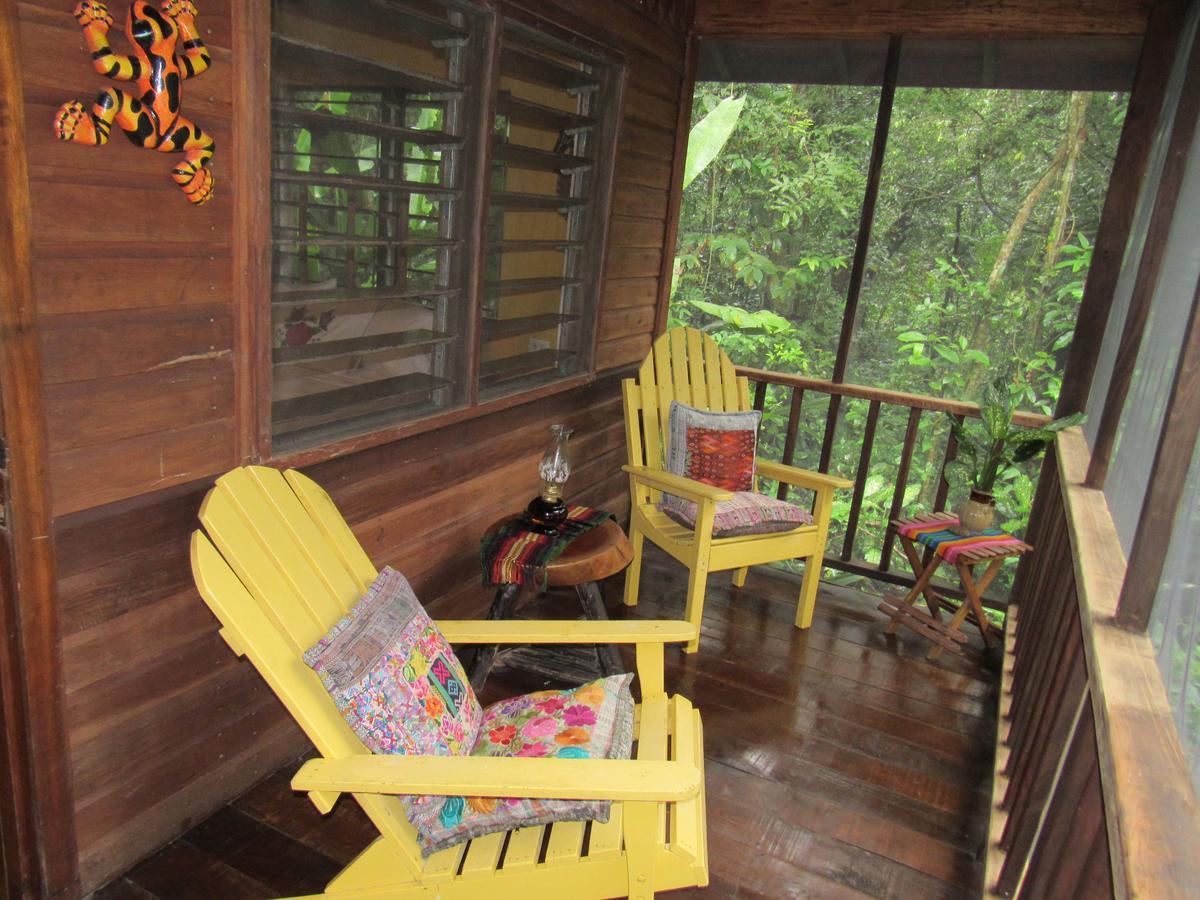 Macaw Bank Jungle Lodge