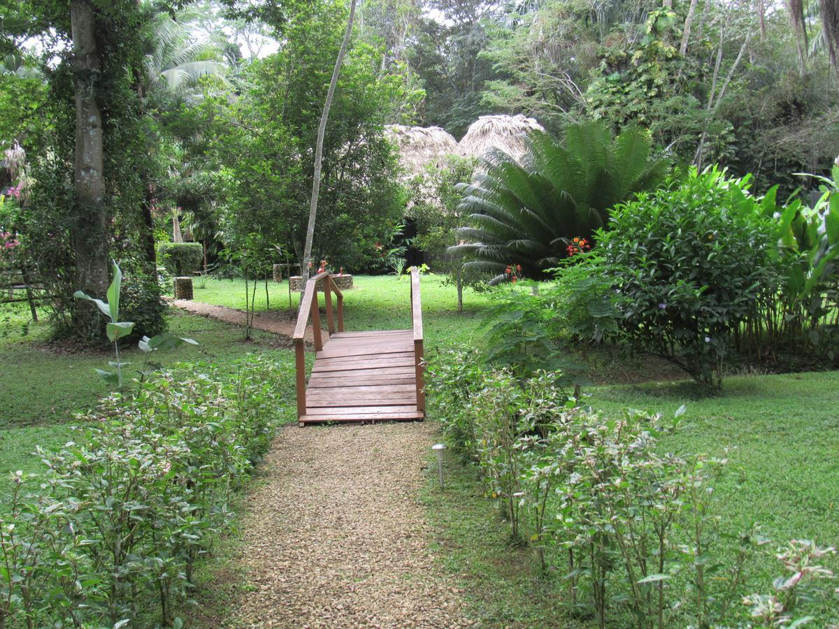 Macaw Bank Jungle Lodge *