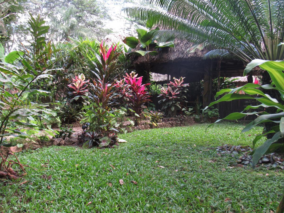 Macaw Bank Jungle Lodge *