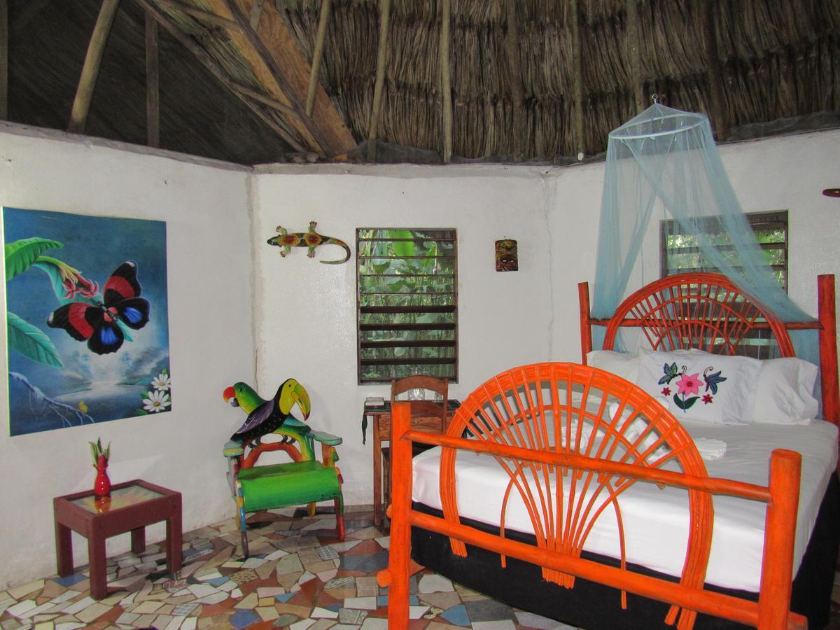 Macaw Bank Jungle * San Ignacio