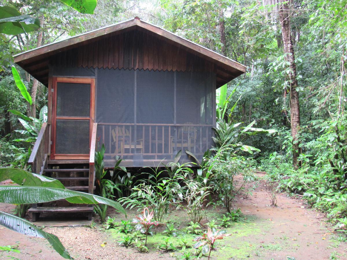Lodge Macaw Bank Jungle San Ignacio