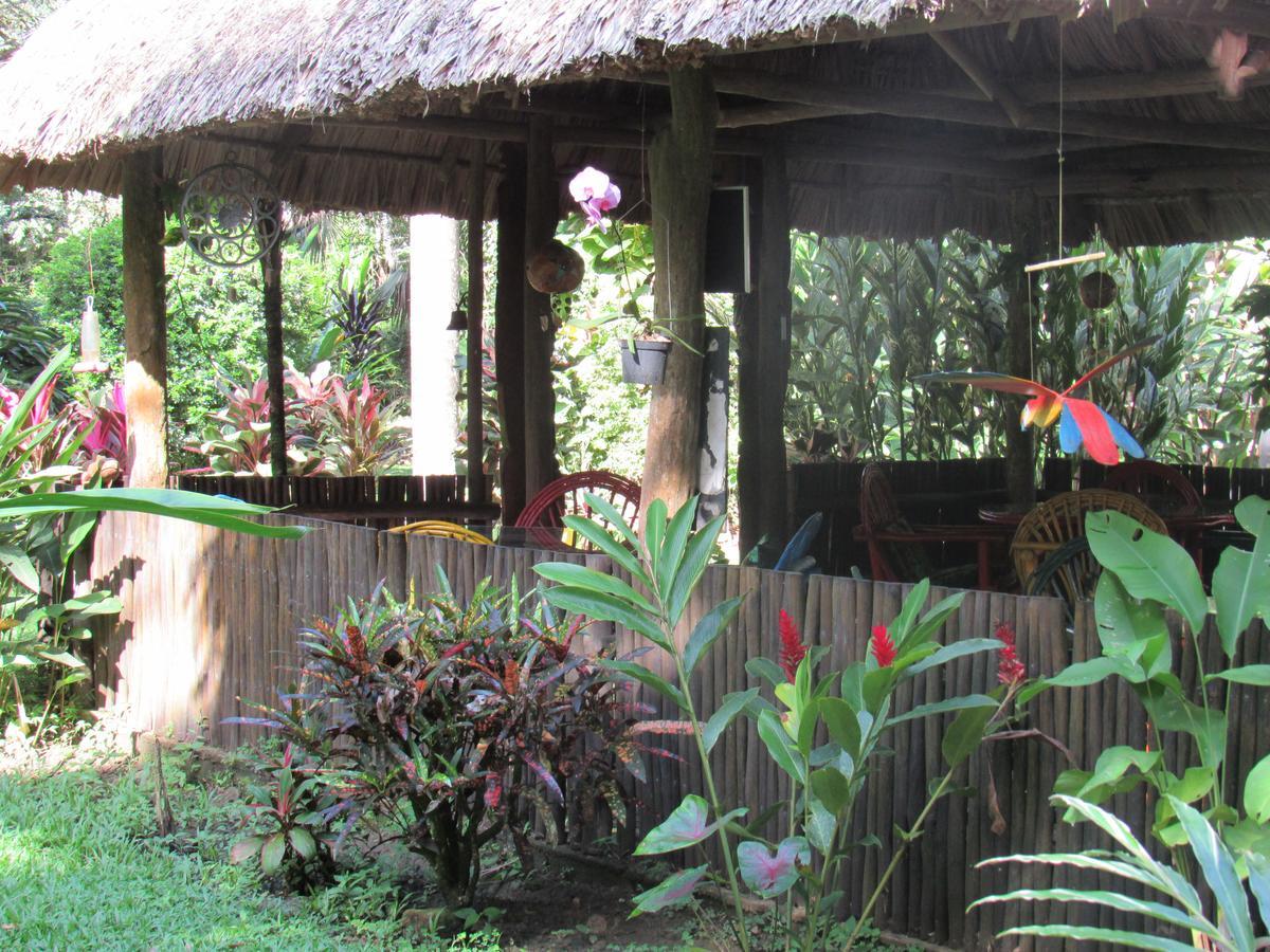 Macaw Bank Jungle Lodge San Ignacio