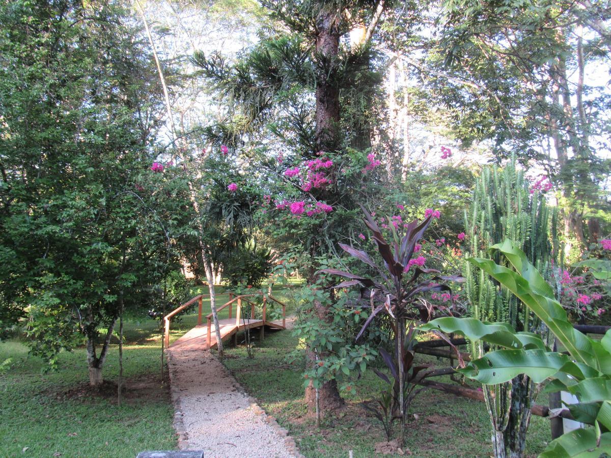 Macaw Bank Jungle Lodge