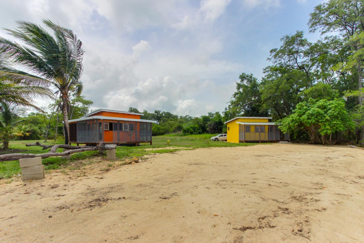 Oceanus Dangriga