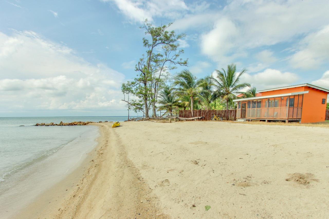 Holiday home Oceanus *