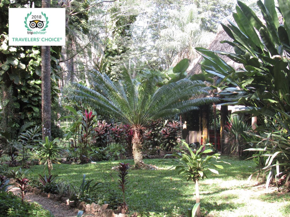 Lodge Macaw Bank Jungle *