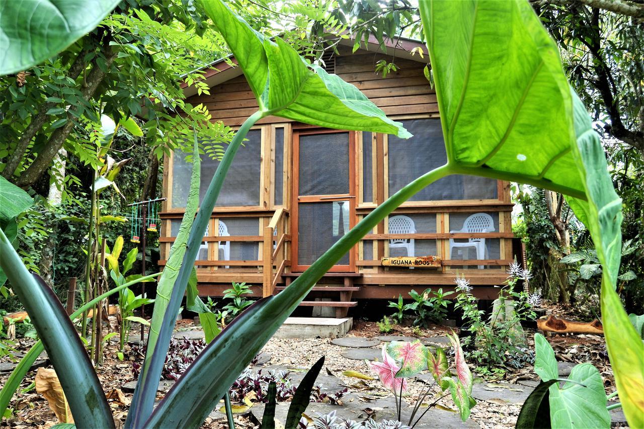 Sanpopo Chalet San Ignacio
