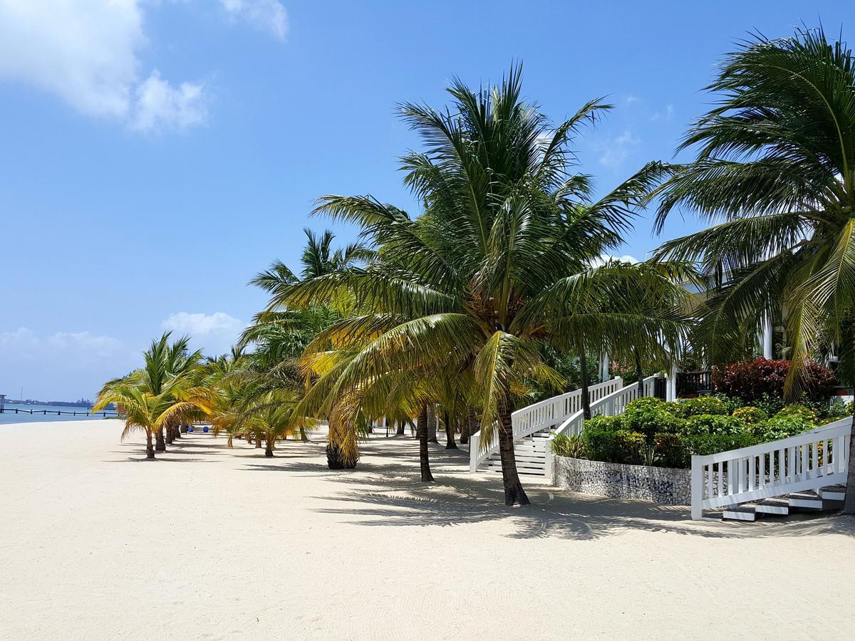 The Placencia