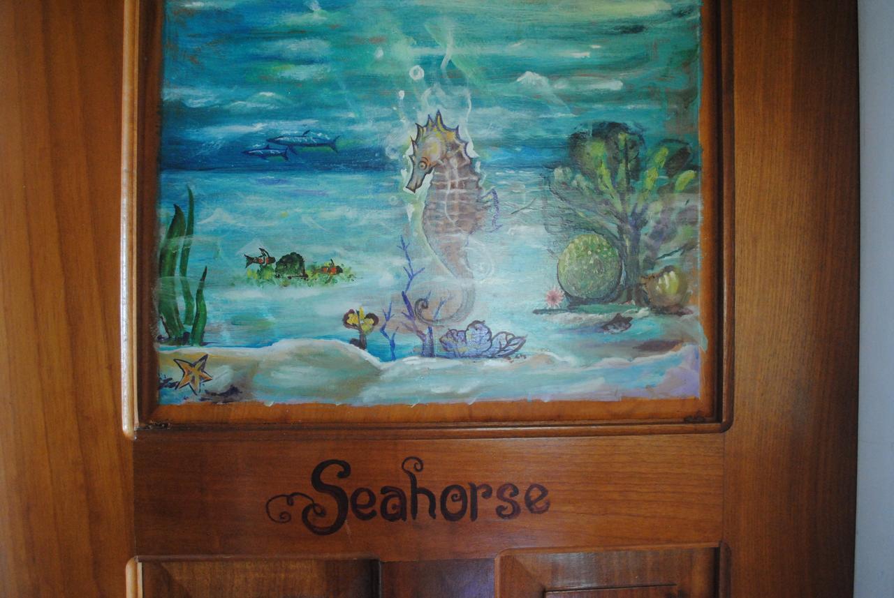 The Sea Front Punta Gorda