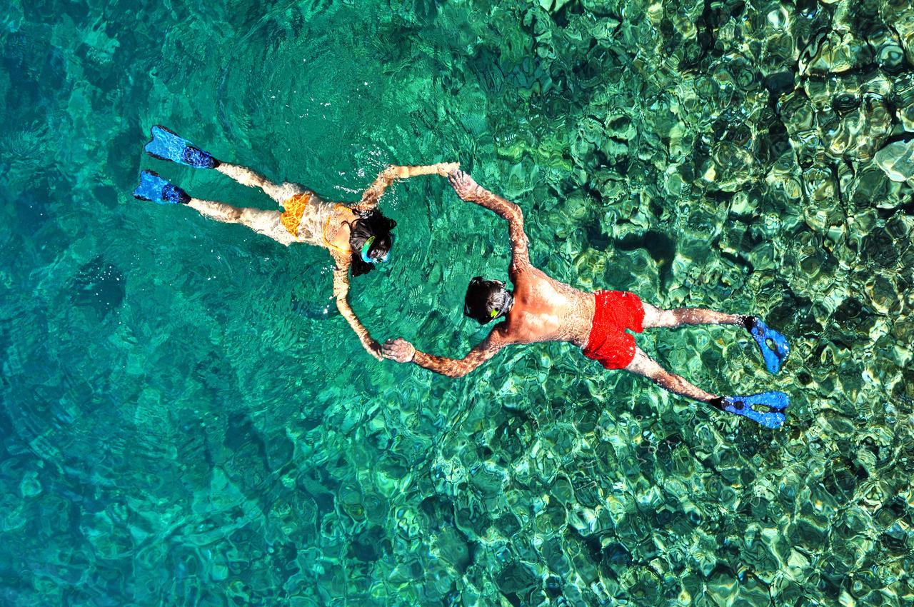 Pelican Reef *