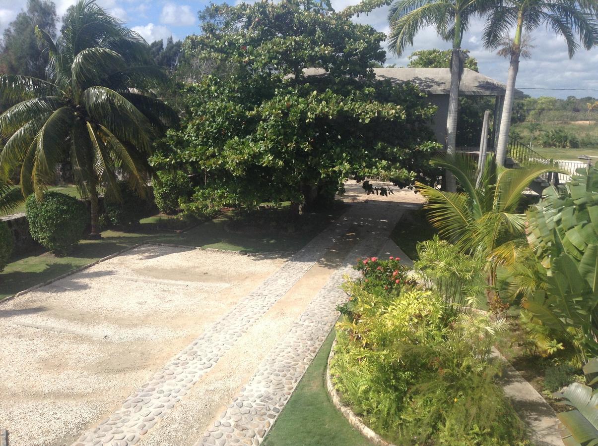 Almond Tree Hotel