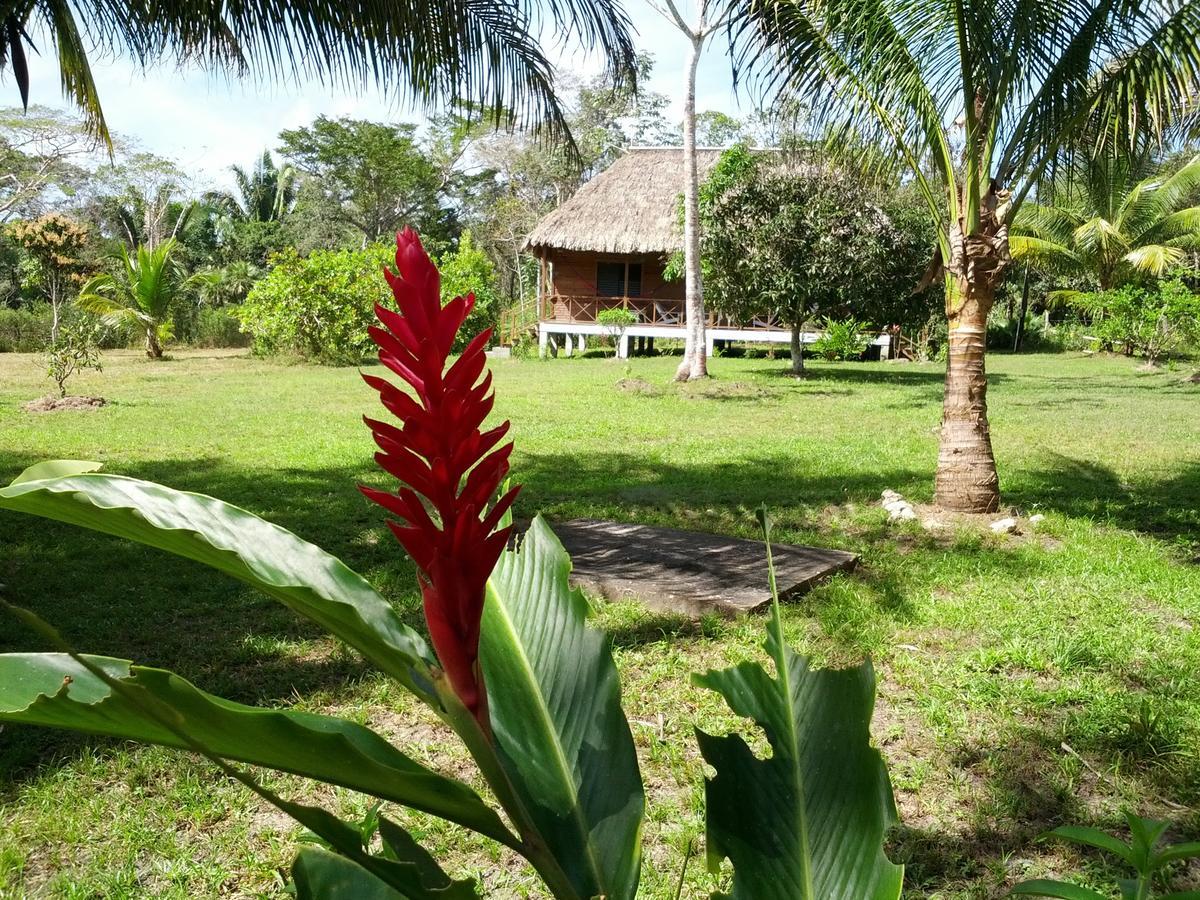 Nature Lodge